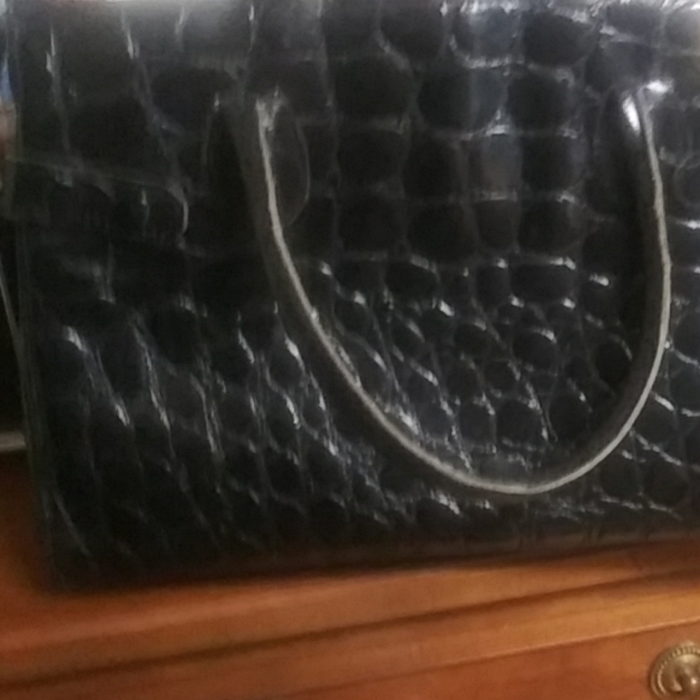 A alligator purse
